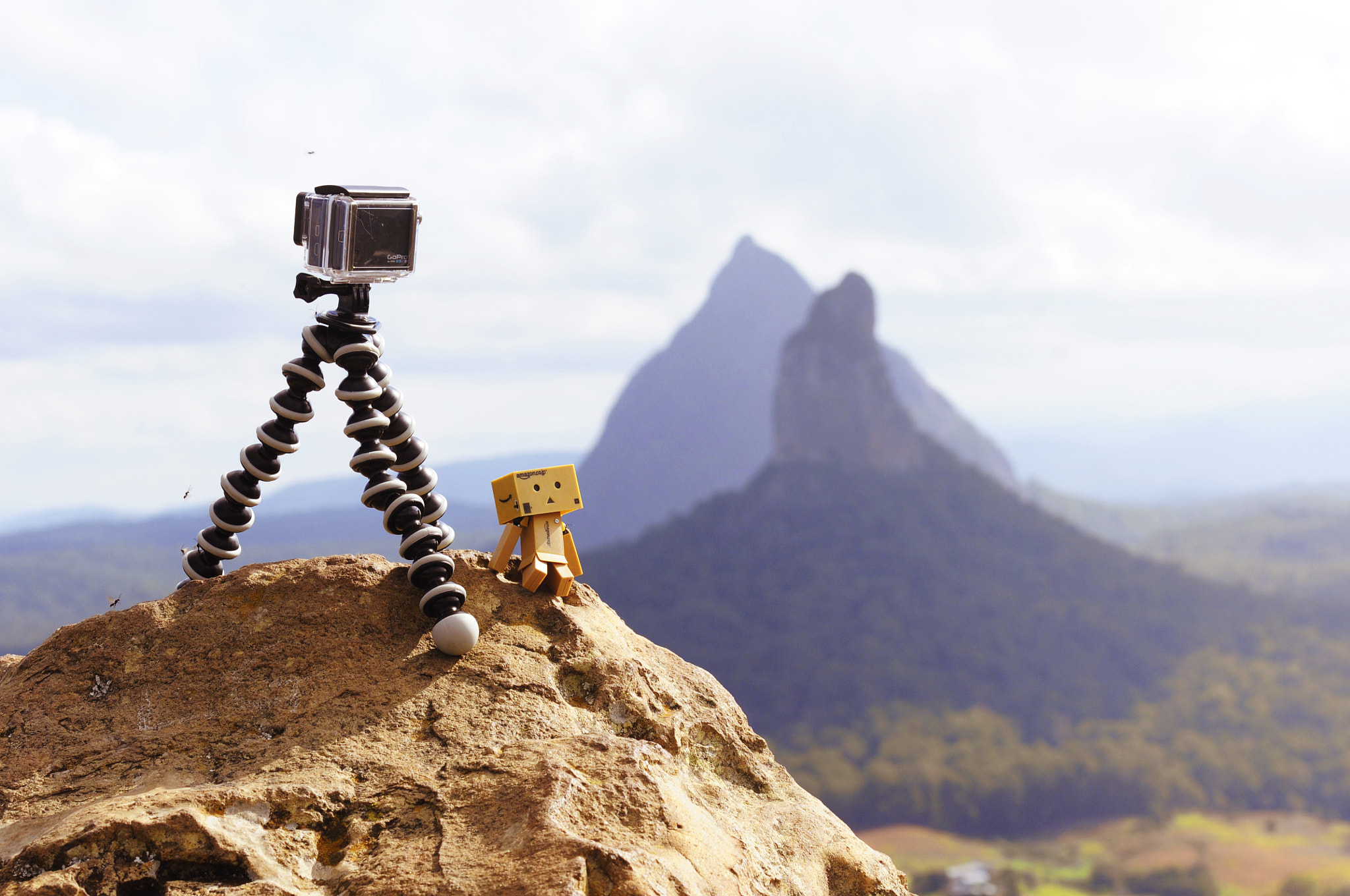 Nikon D300S sample photo. Protector-danbo photography