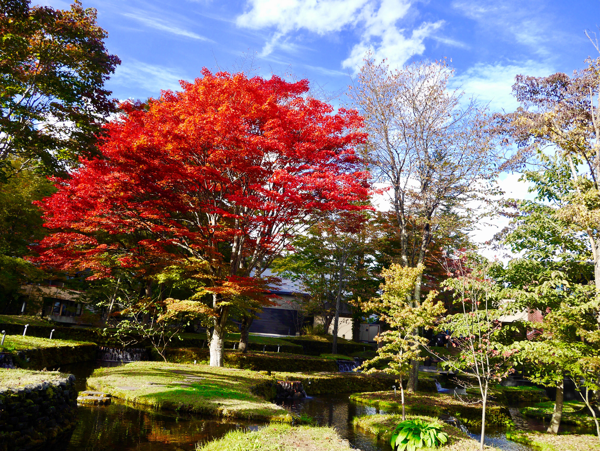 LUMIX G VARIO PZ 14-42/F3.5-5.6 sample photo. Hoshinoya karuizawa photography