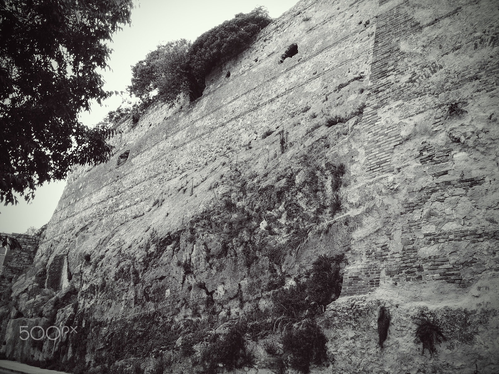 Samsung Galaxy S2 Plus sample photo. Re teodorico, verona.jpg photography
