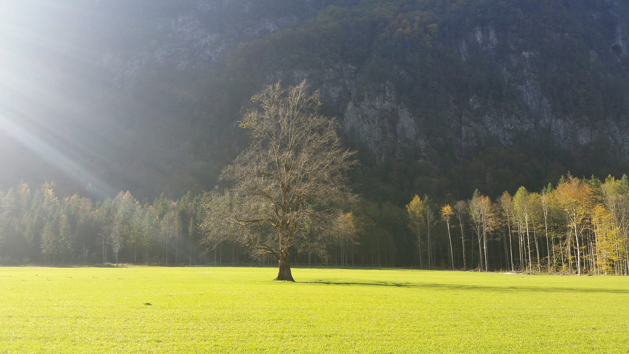 Samsung Galaxy S5 Active sample photo. L.dolina photography