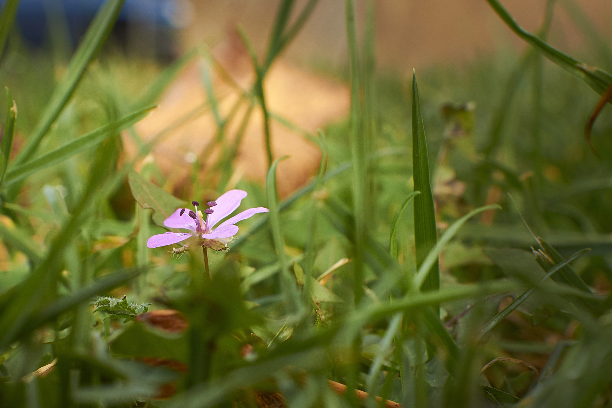 Sony SLT-A77 + Sony DT 35mm F1.8 SAM sample photo. Dsc photography