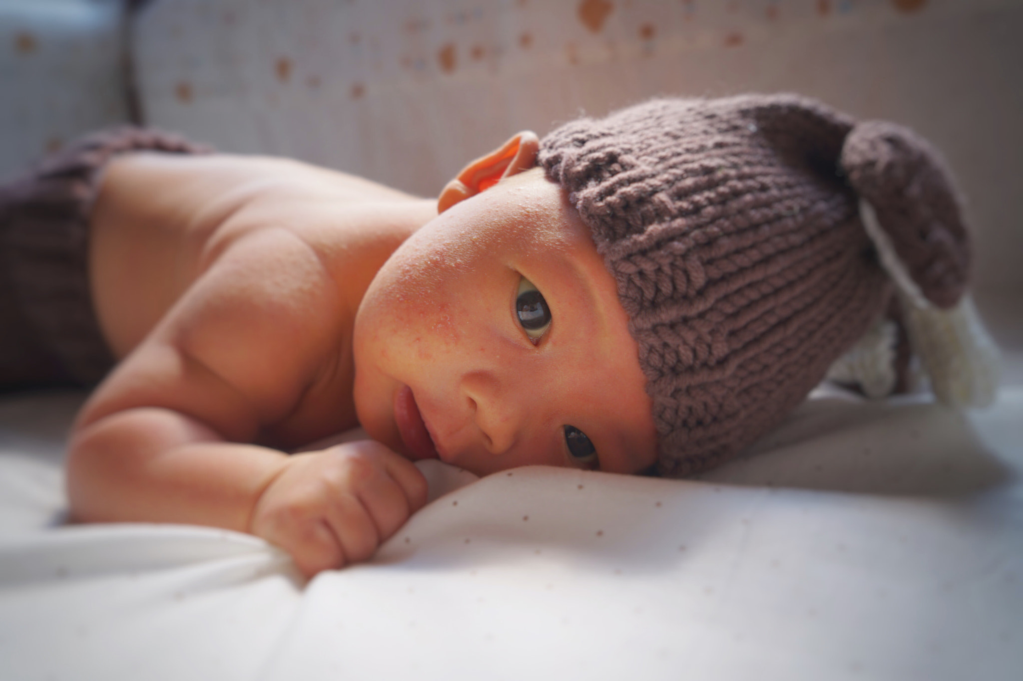 Sony a7 II + Sony Vario Tessar T* FE 24-70mm F4 ZA OSS sample photo