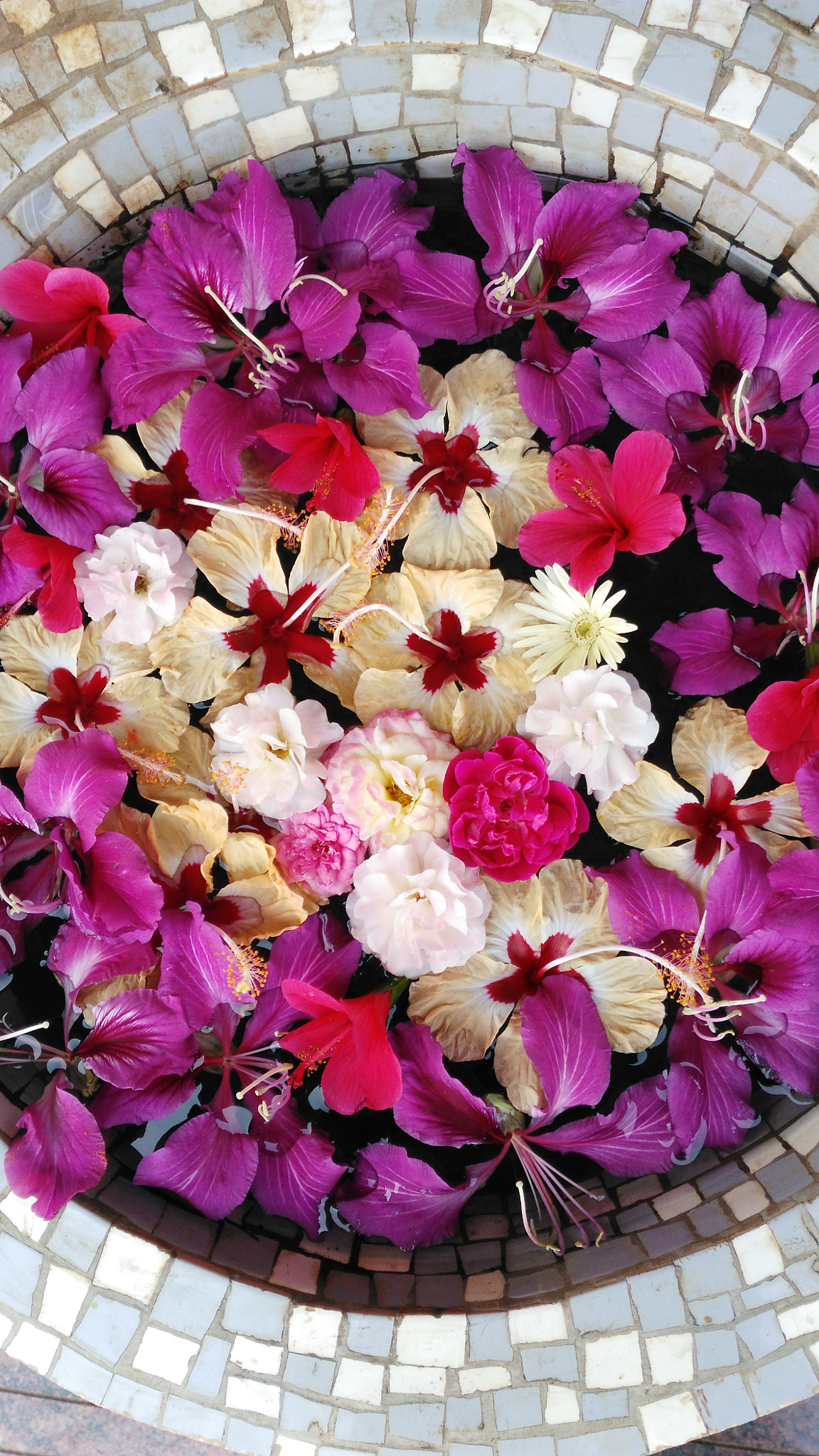 HUAWEI Che1-L04 sample photo