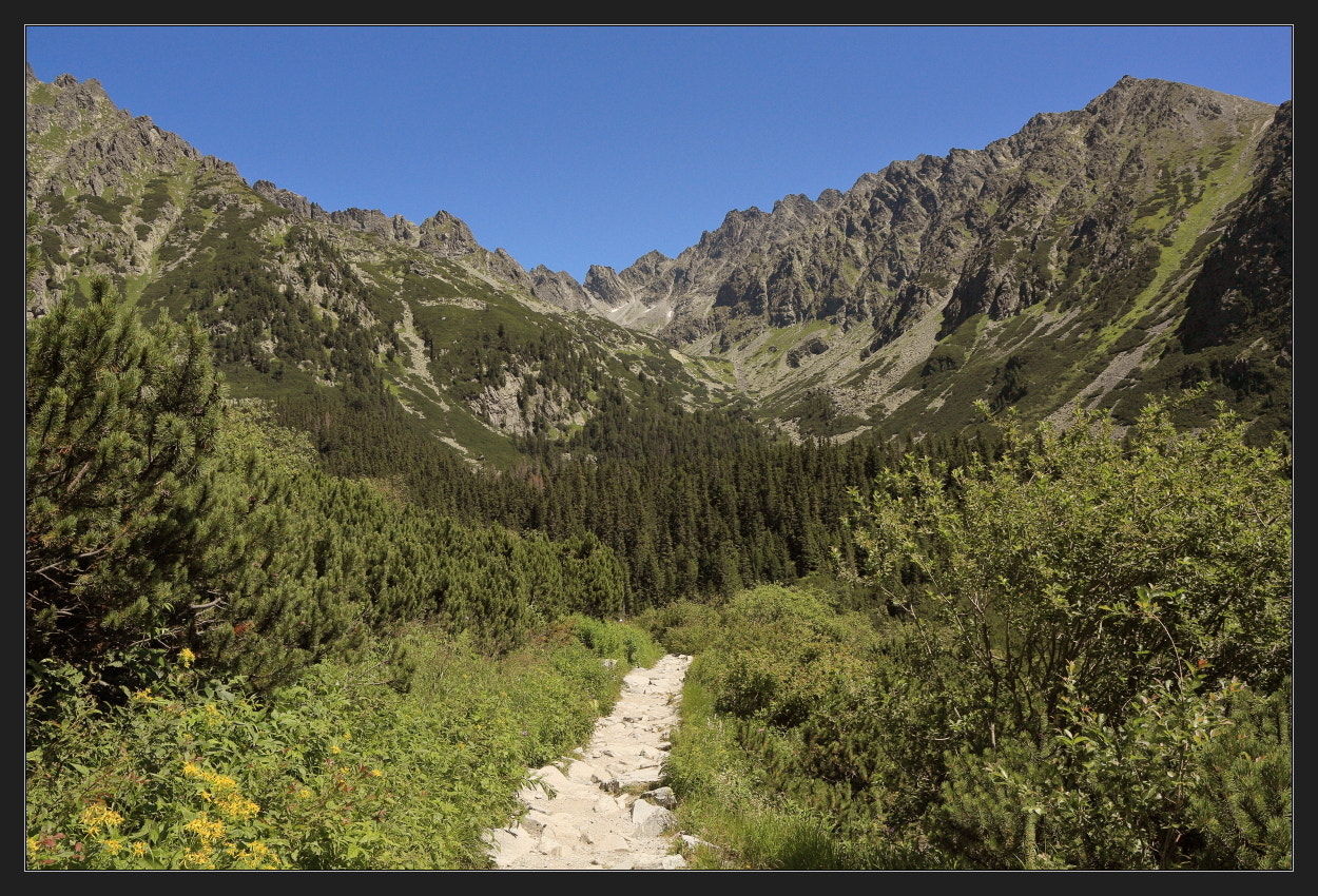 Canon EOS 450D (EOS Rebel XSi / EOS Kiss X2) sample photo. Tatra mountains viii photography
