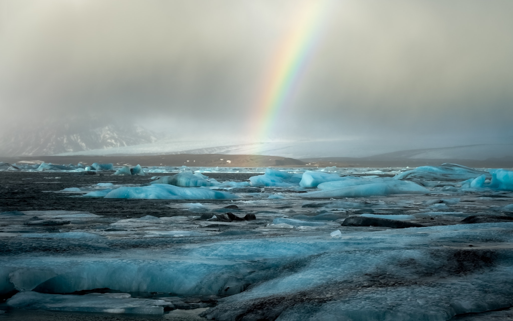 Nikon D600 sample photo. Color on ice photography