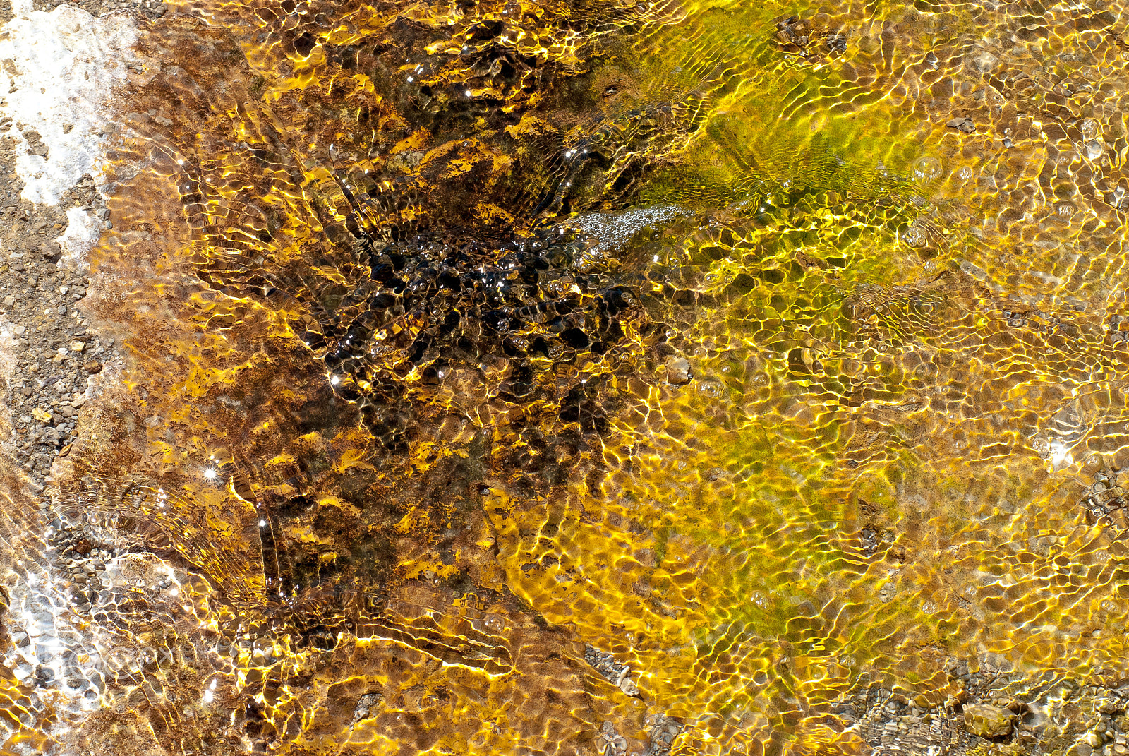 AF Zoom-Nikkor 80-200mm f/2.8 ED sample photo. Norris geyser basin photography