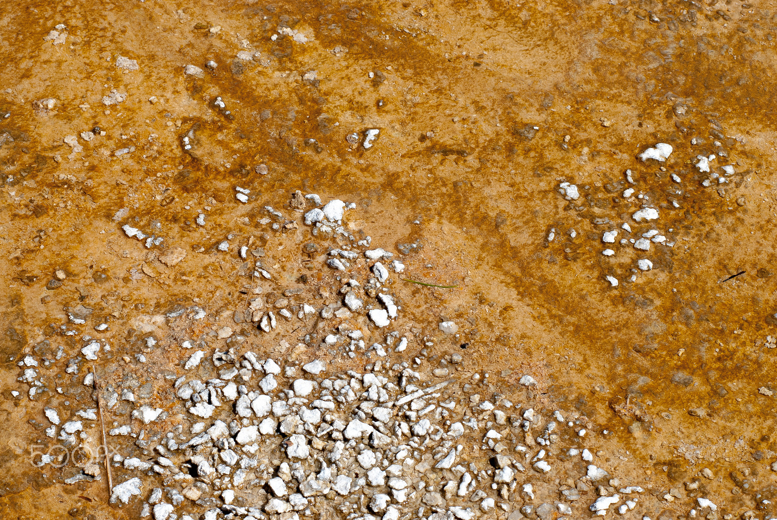 AF Zoom-Nikkor 80-200mm f/2.8 ED sample photo. Norris geyser basin photography