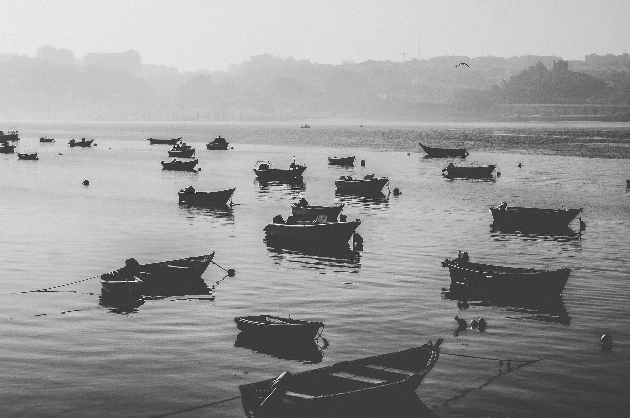 Nikon D2X sample photo. Boats photography