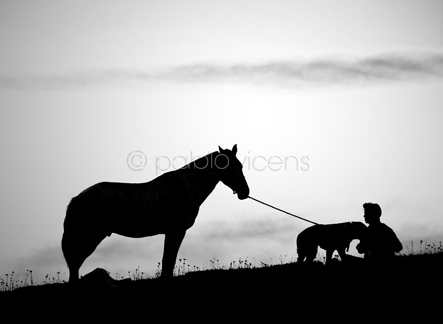 Olympus E-5 sample photo. Hombre, perro y caballo photography