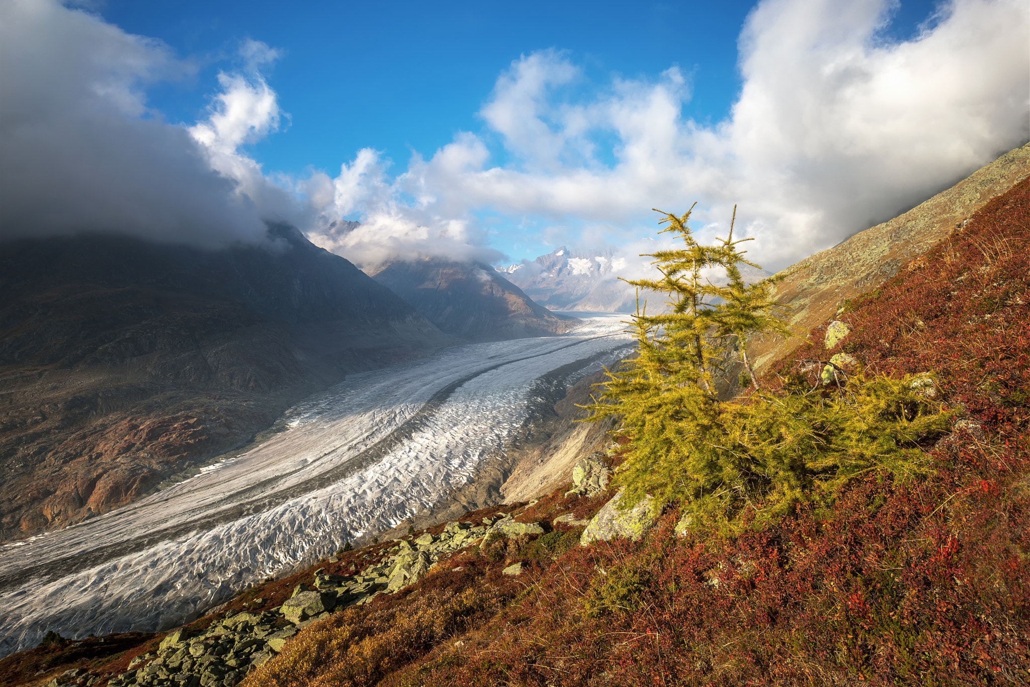 Canon EF 16-35mm F4L IS USM sample photo. Grosser aletschgletscher photography