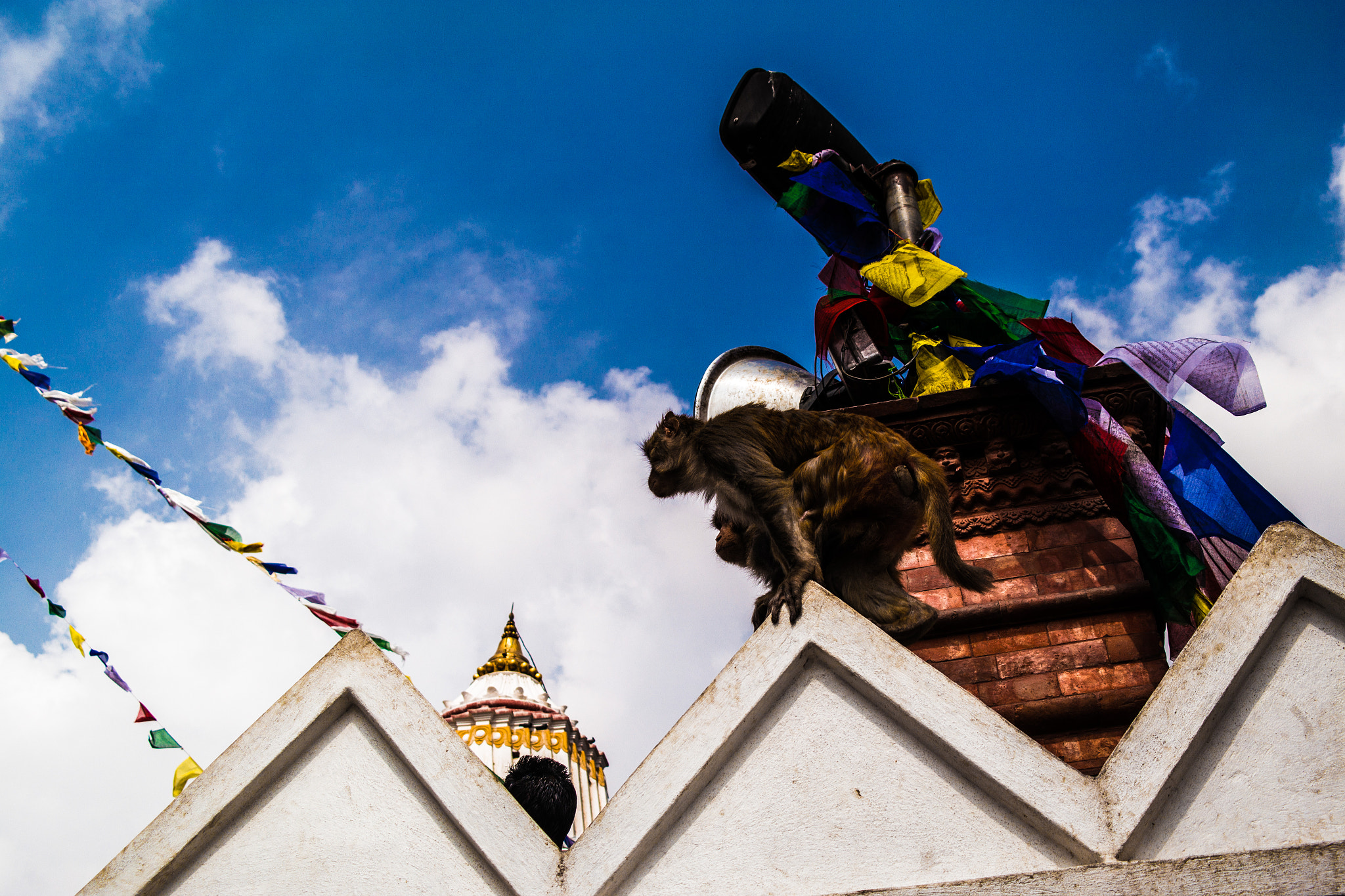 Samsung NX1000 + Samsung NX 18-55mm F3.5-5.6 OIS sample photo. Monkeytemple_nepal photography