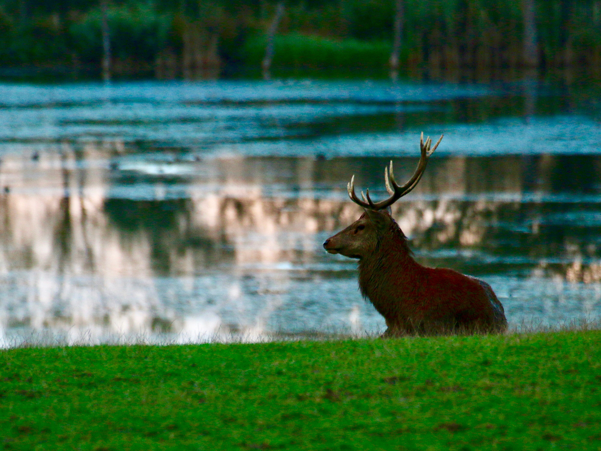 Canon EF 100-400mm F4.5-5.6L IS USM sample photo