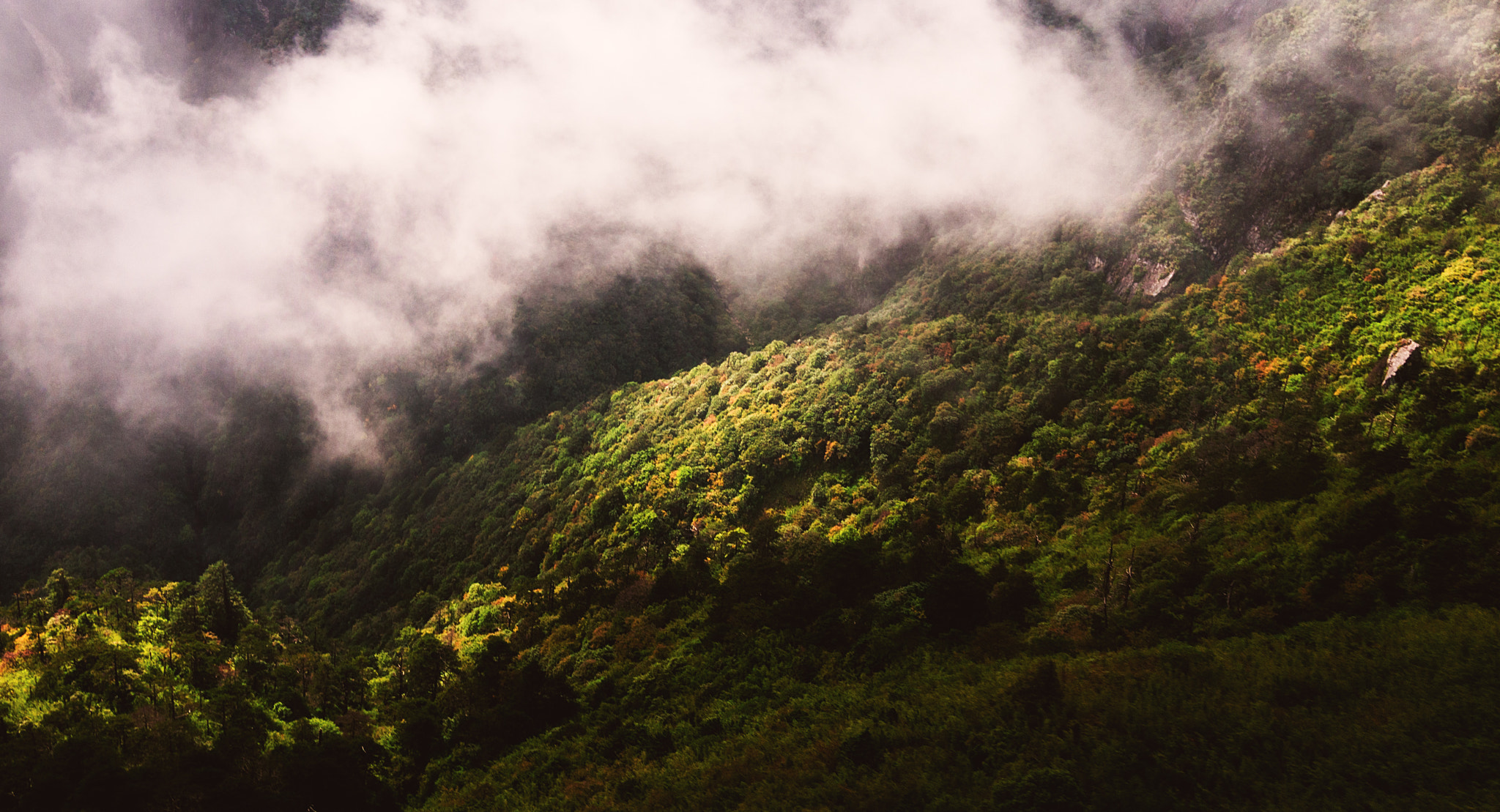 Olympus PEN E-P3 + Panasonic Lumix G 20mm F1.7 ASPH sample photo. Into the mountain, dali, cangshan 苍山 photography