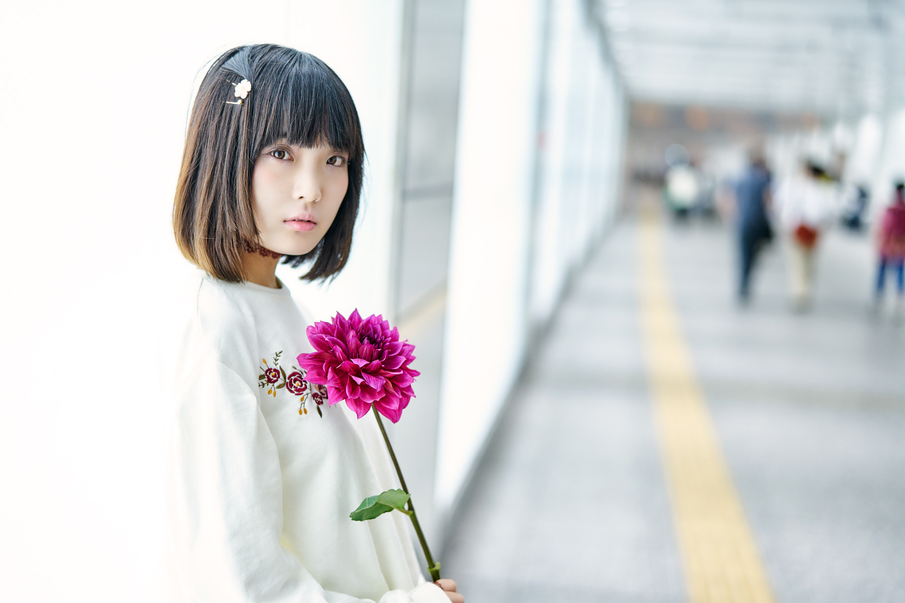 Sony a7 II + Sony Planar T* FE 50mm F1.4 ZA sample photo. Yuzuha photography