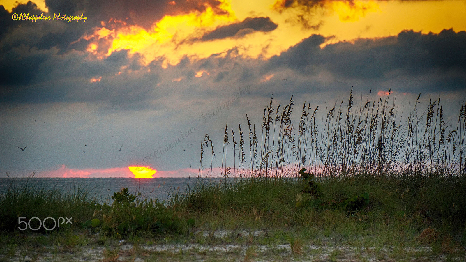 Sony Alpha NEX-5T + Sony E 55-210mm F4.5-6.3 OSS sample photo. Sun slips into the sea photography