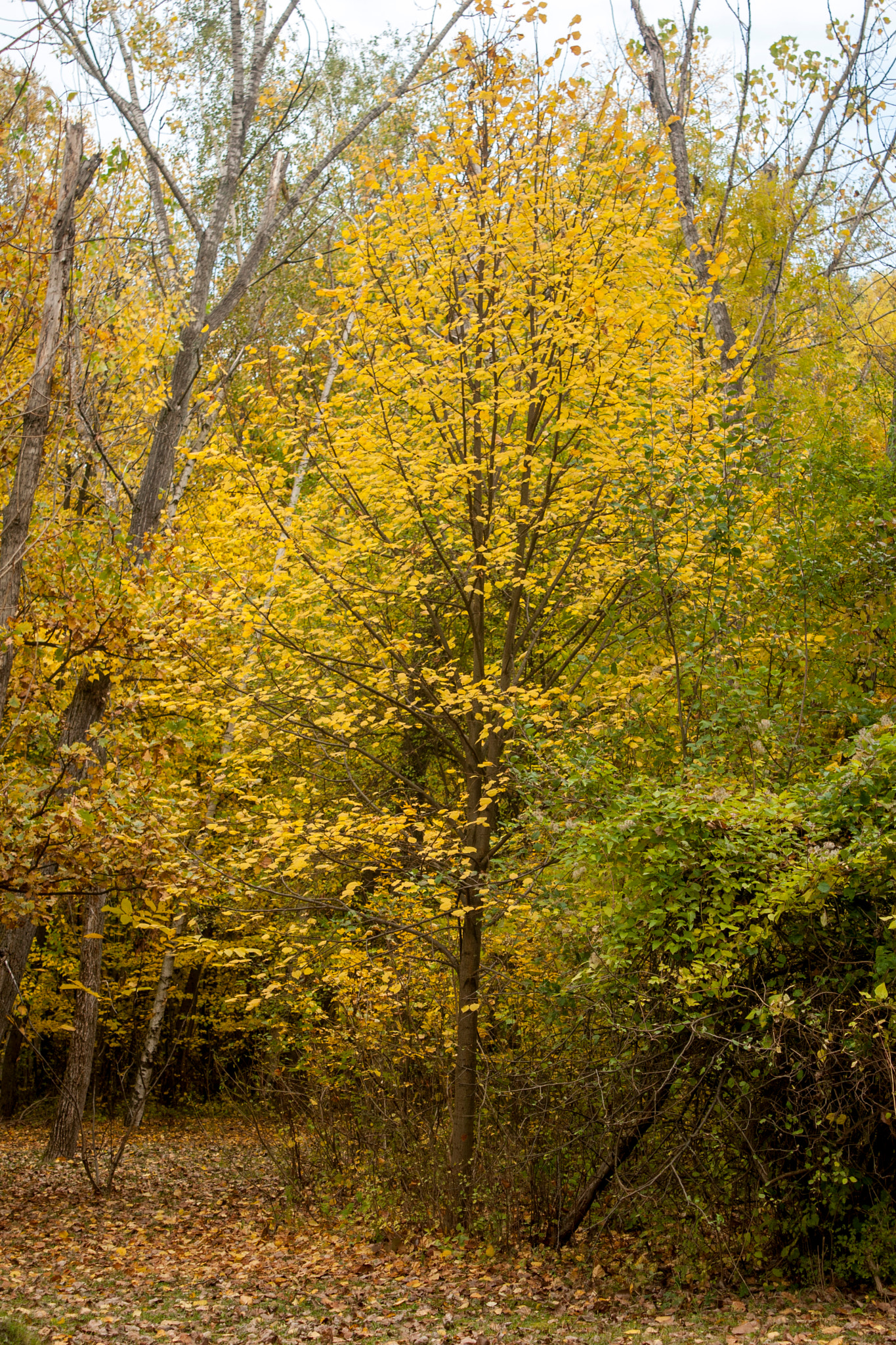 Canon EOS 30D sample photo. Img photography