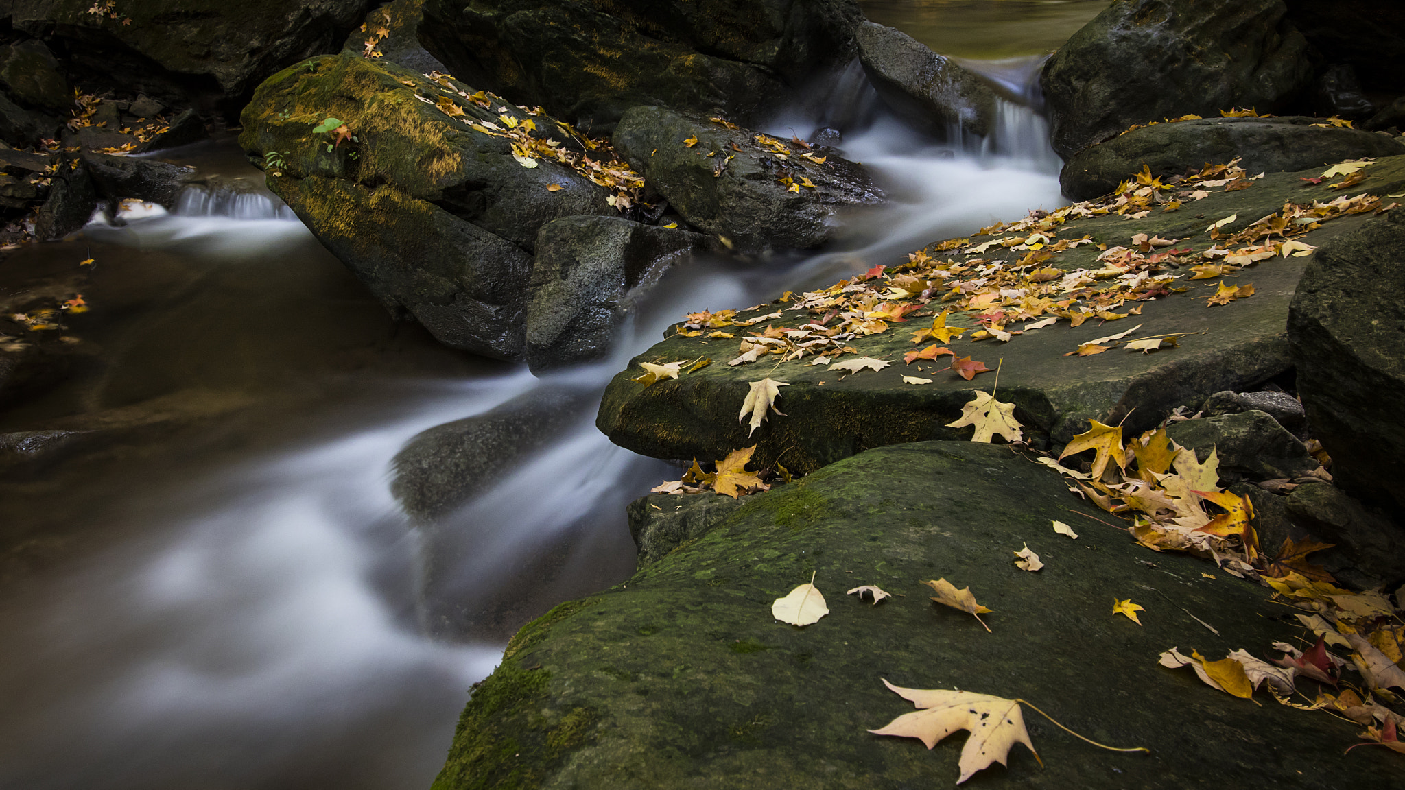 Sigma 18-35mm f/1.8 DC HSM sample photo. Fall stream photography