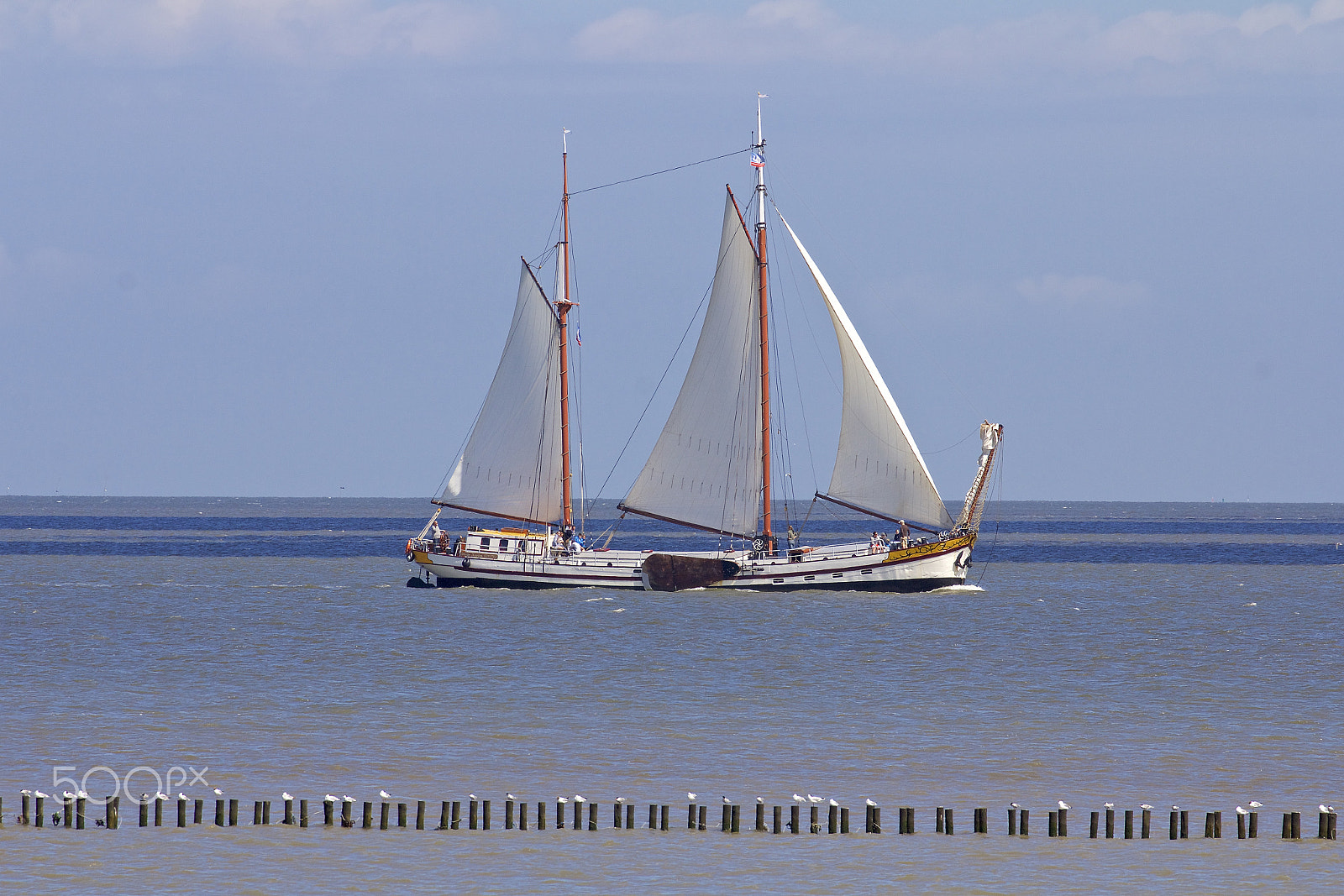 Canon EF 70-300mm F4-5.6L IS USM sample photo. Untitled photography