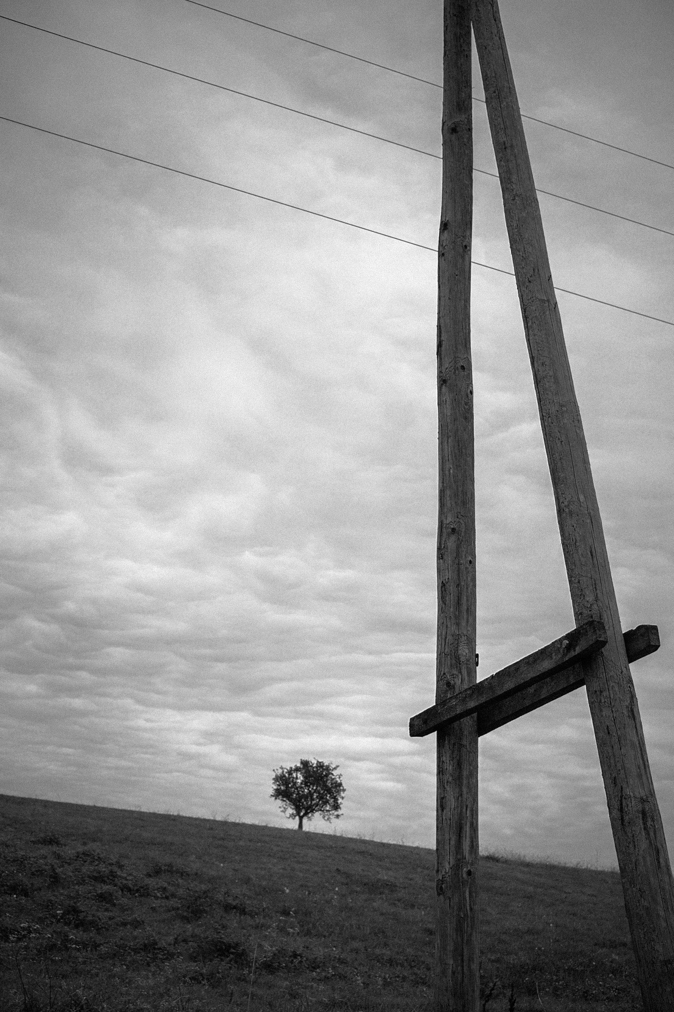 Sigma DP2 sample photo. Wire...less photography