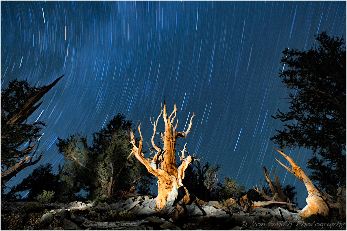 Canon EOS-1Ds Mark II sample photo. A night with the ancients photography