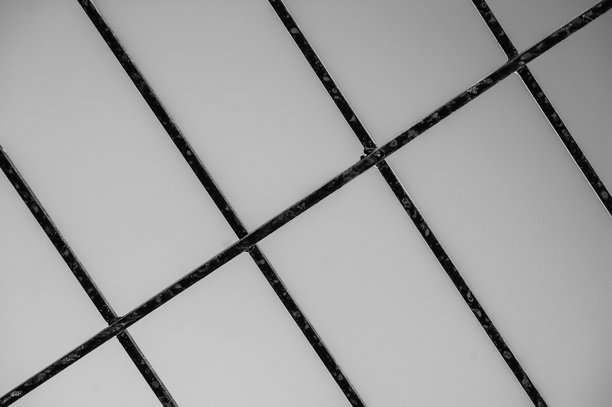 Nikon D50 sample photo. Iron rods photography