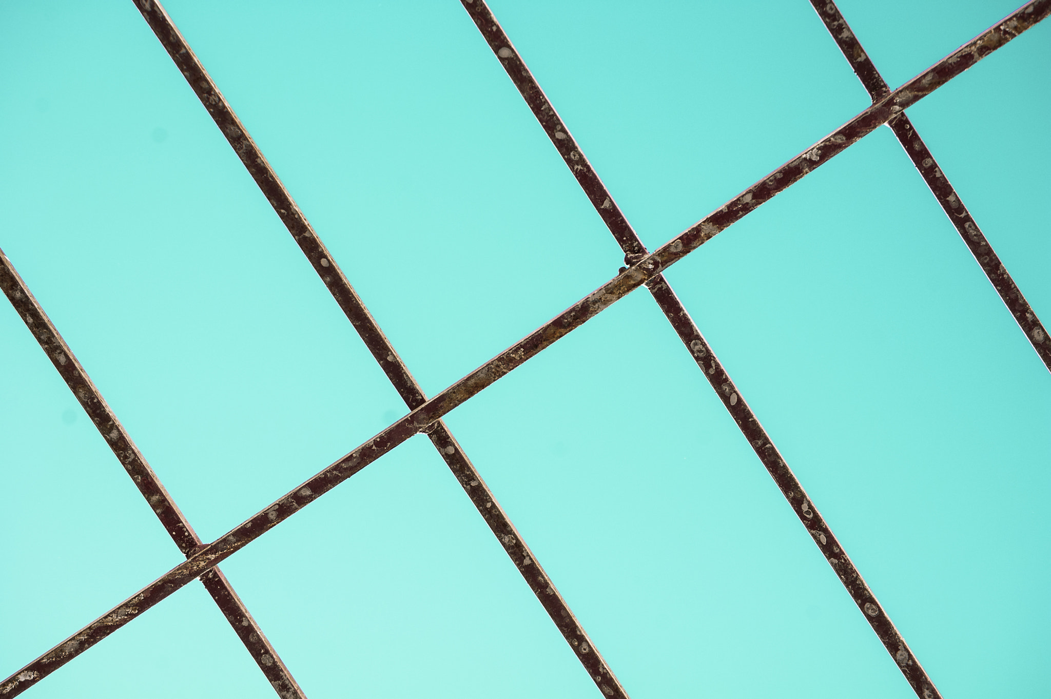 Nikon D50 sample photo. Iron rods photography