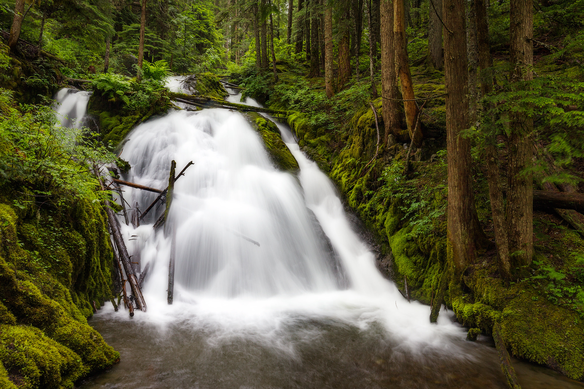 Canon EOS 40D + Canon EF 16-35mm F4L IS USM sample photo. Little zigzag falls | near mt. hood, oregon photography