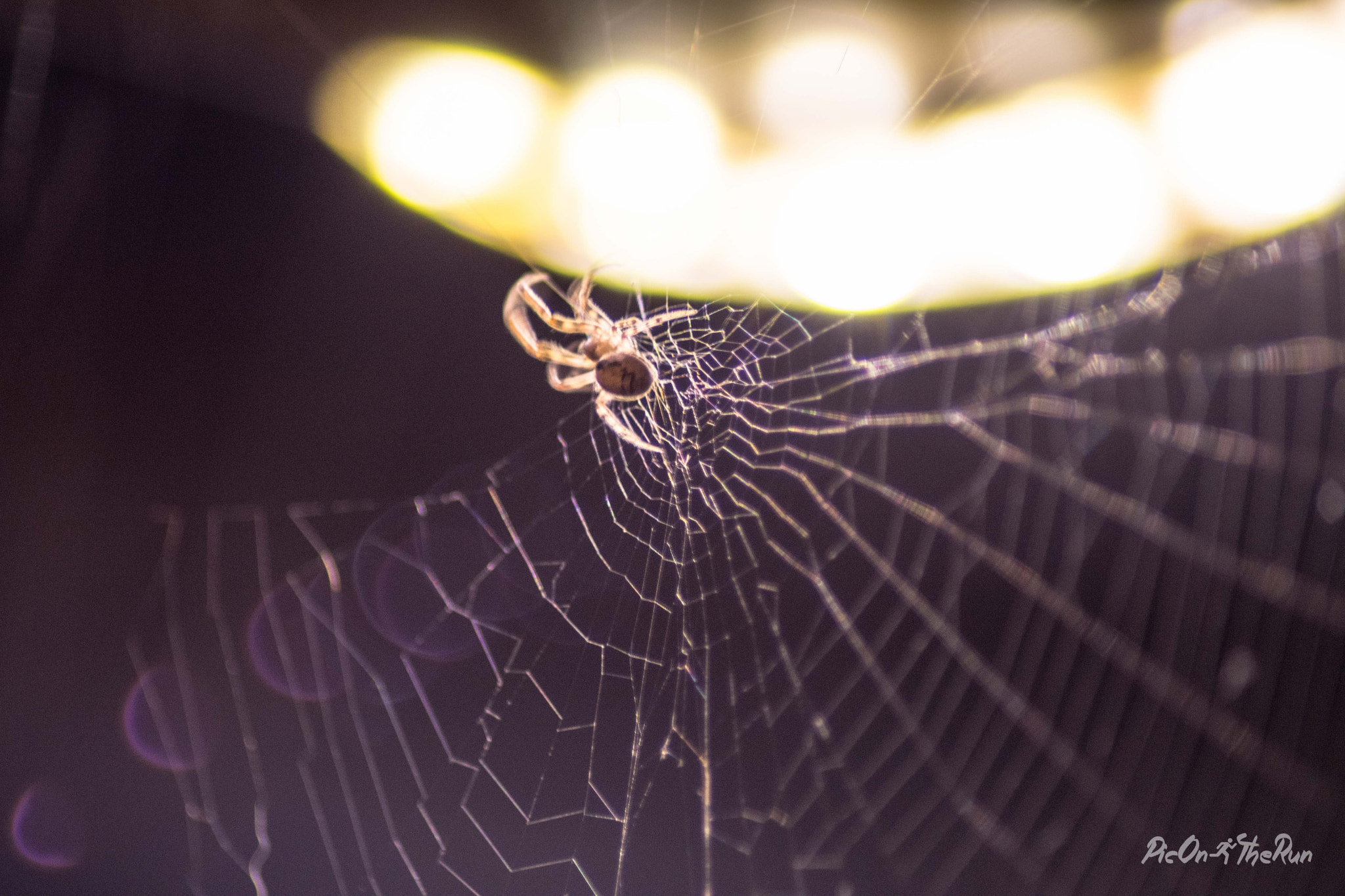 Nikon D500 sample photo. Bye, i'm leaving photography