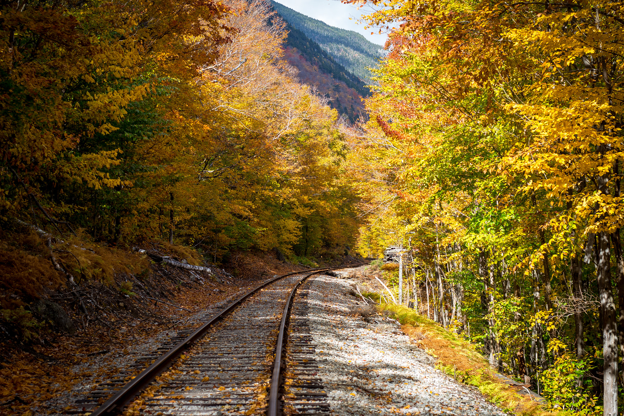 Canon EOS 100D (EOS Rebel SL1 / EOS Kiss X7) sample photo. Autumn tracks photography