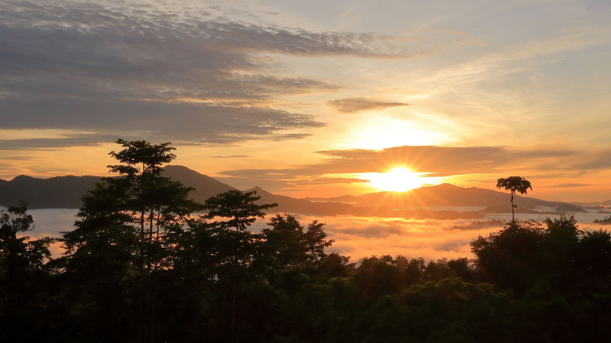 Canon EOS 6D + Canon EF 16-35mm F4L IS USM sample photo. Sunrise at danum valley in borneo photography