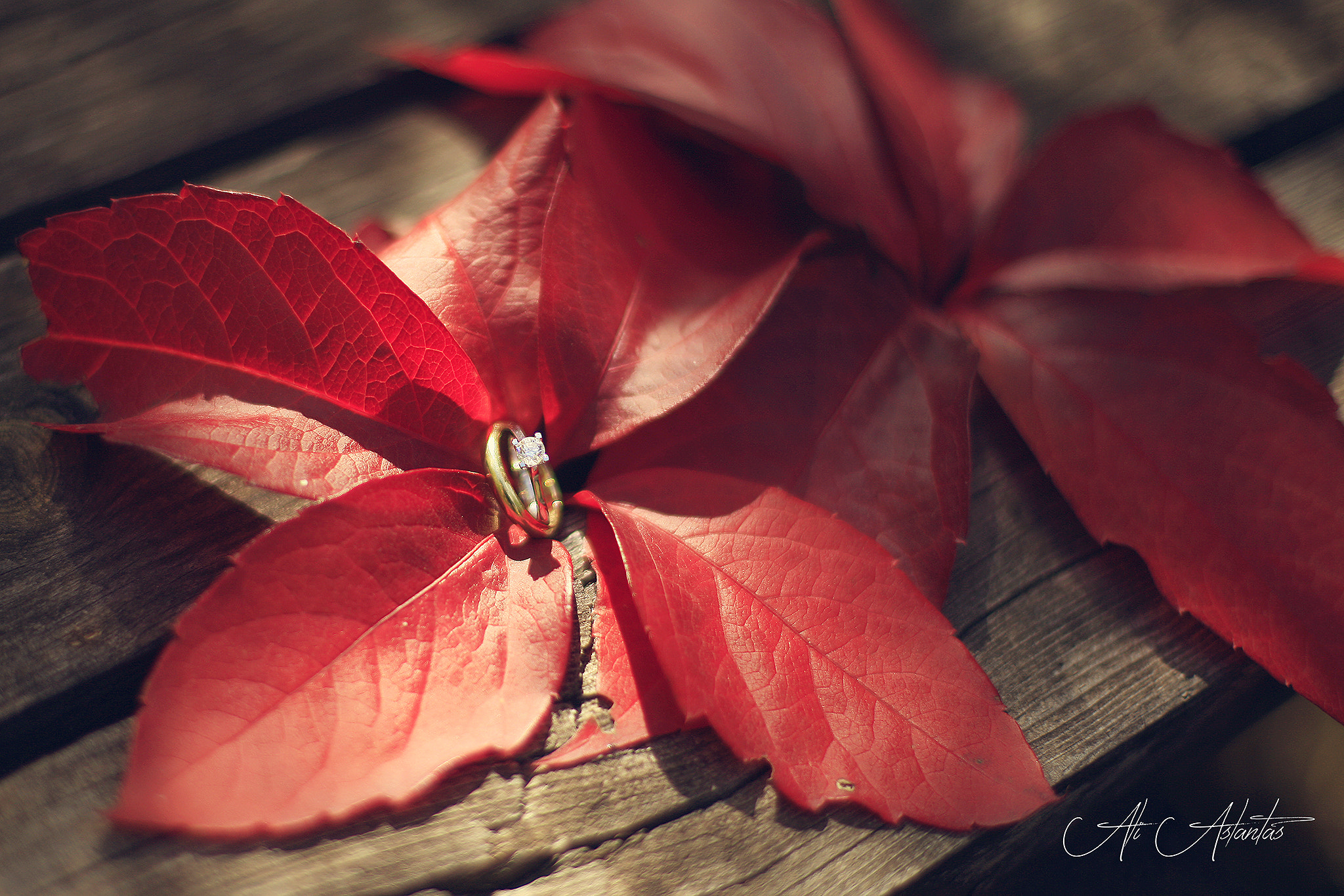Canon EF 50mm F1.4 USM sample photo. Wedding photography