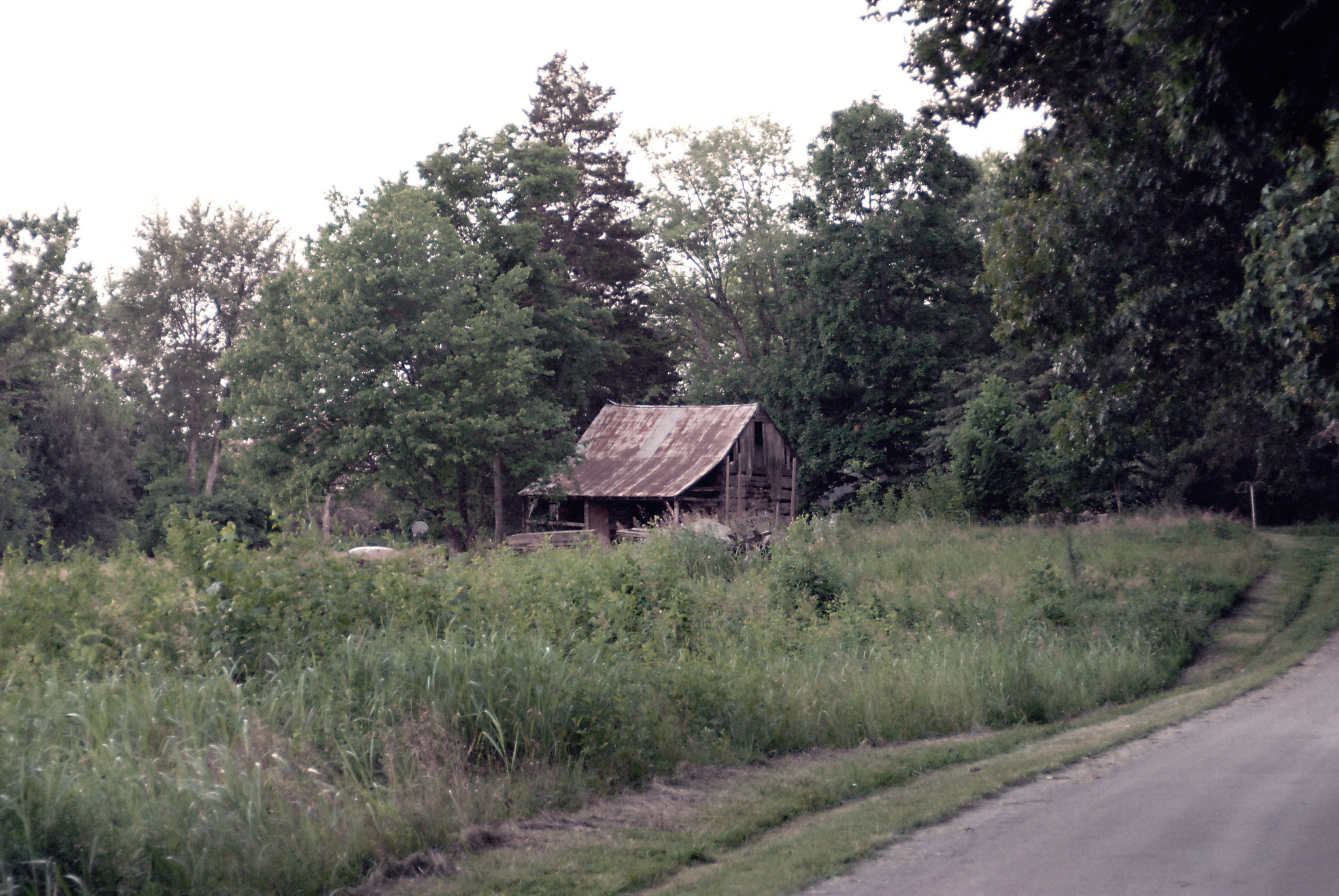 AF Zoom-Nikkor 28-105mm f/3.5-4.5D IF sample photo. Rusticcabin photography
