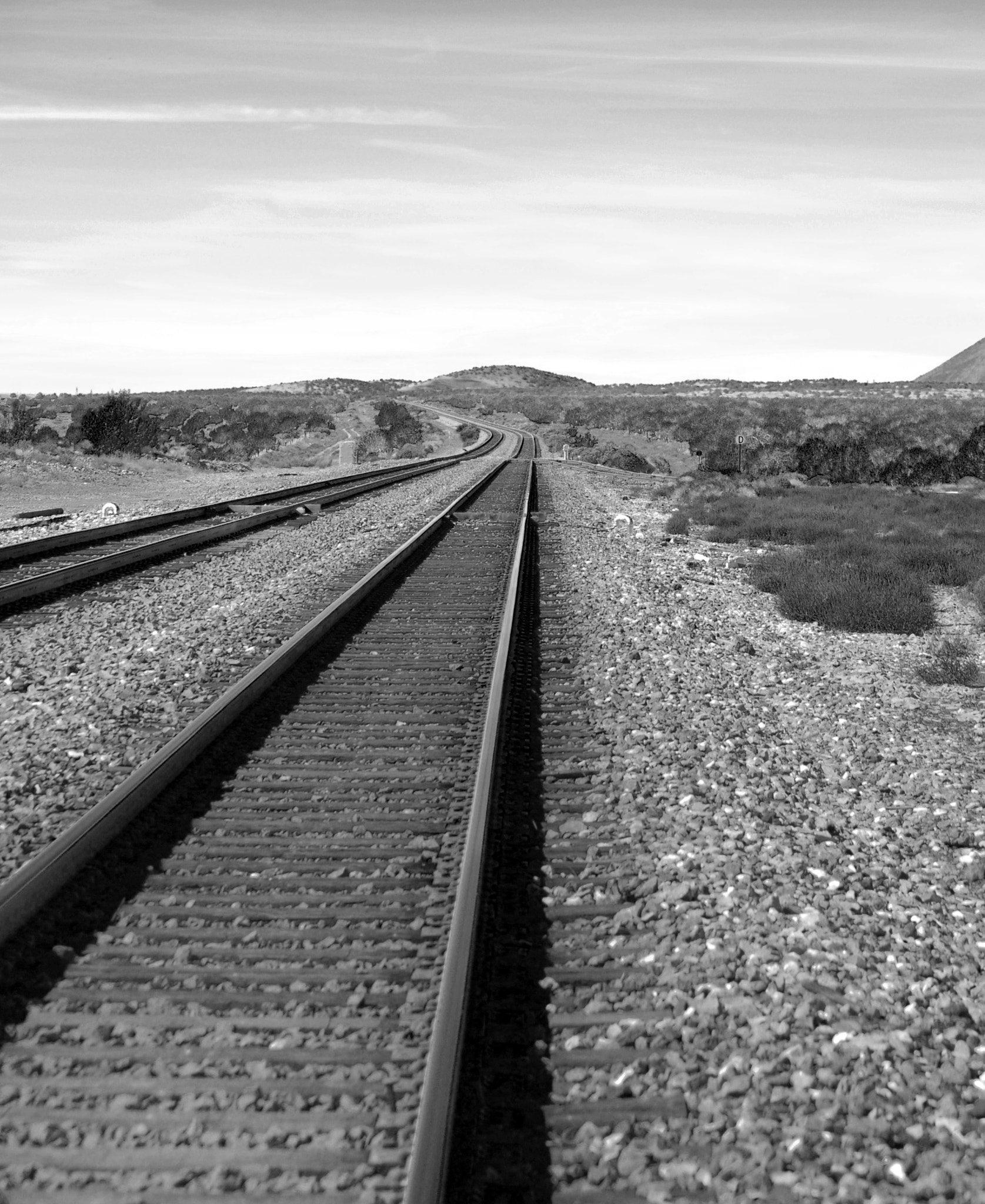 Nikon D200 sample photo. Ontrackbw photography