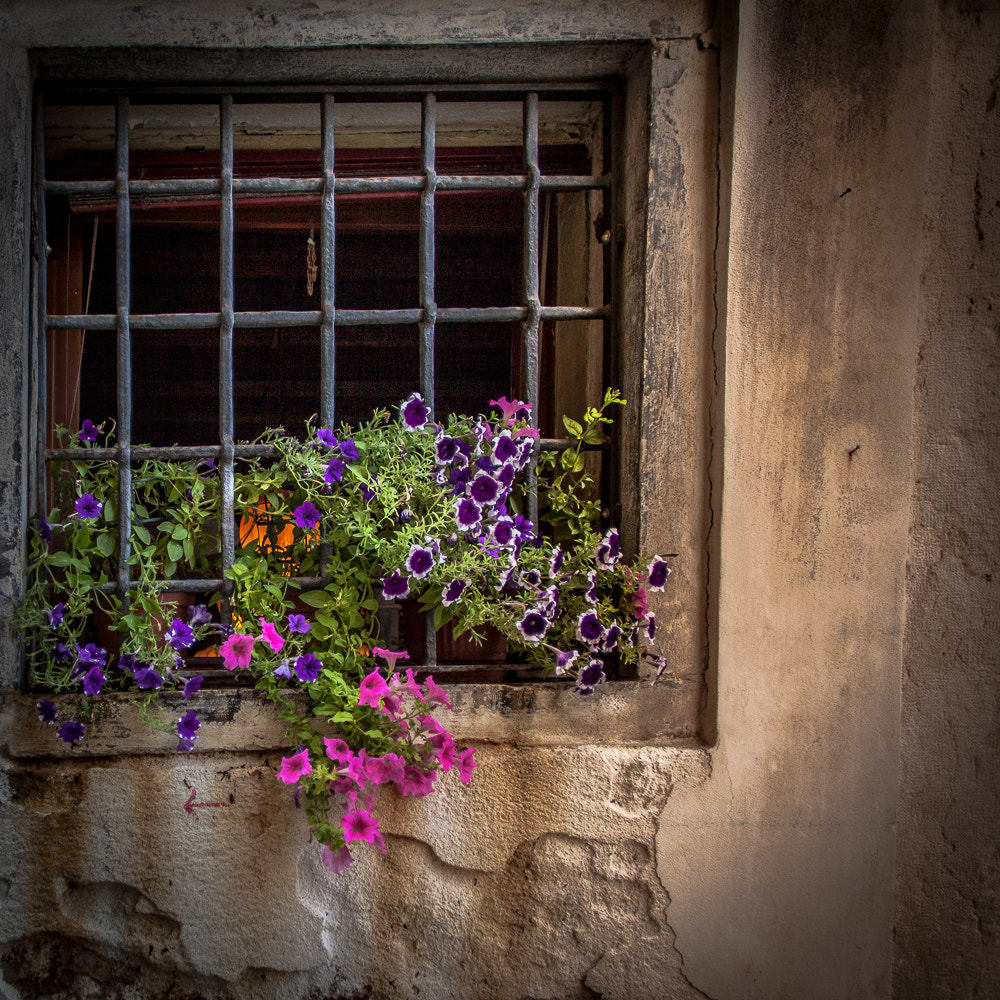 Canon EF 20mm F2.8 USM sample photo. Venice photography