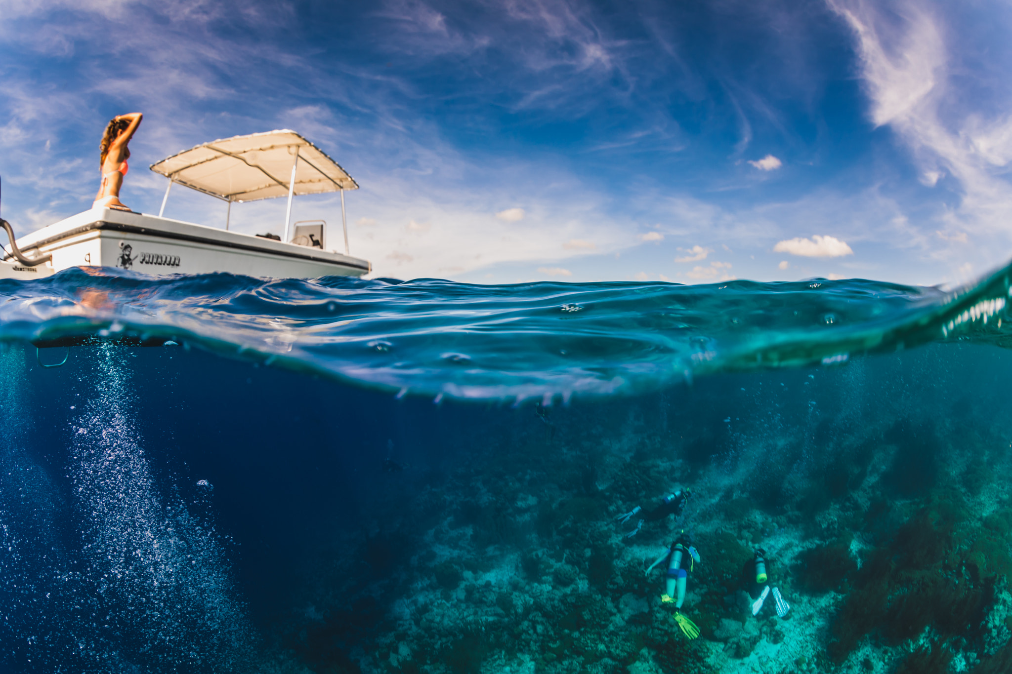 Canon EF 8-15mm F4L Fisheye USM sample photo. Diving klein bonaire photography