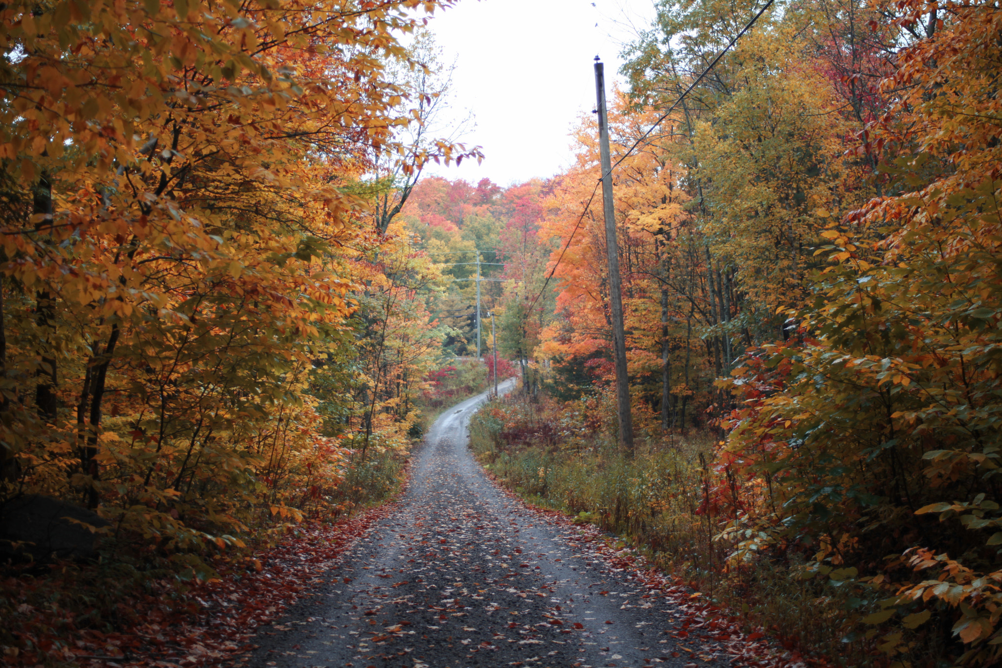 Canon EF 28-80mm f/3.5-5.6 USM IV sample photo. Autumn diaries photography