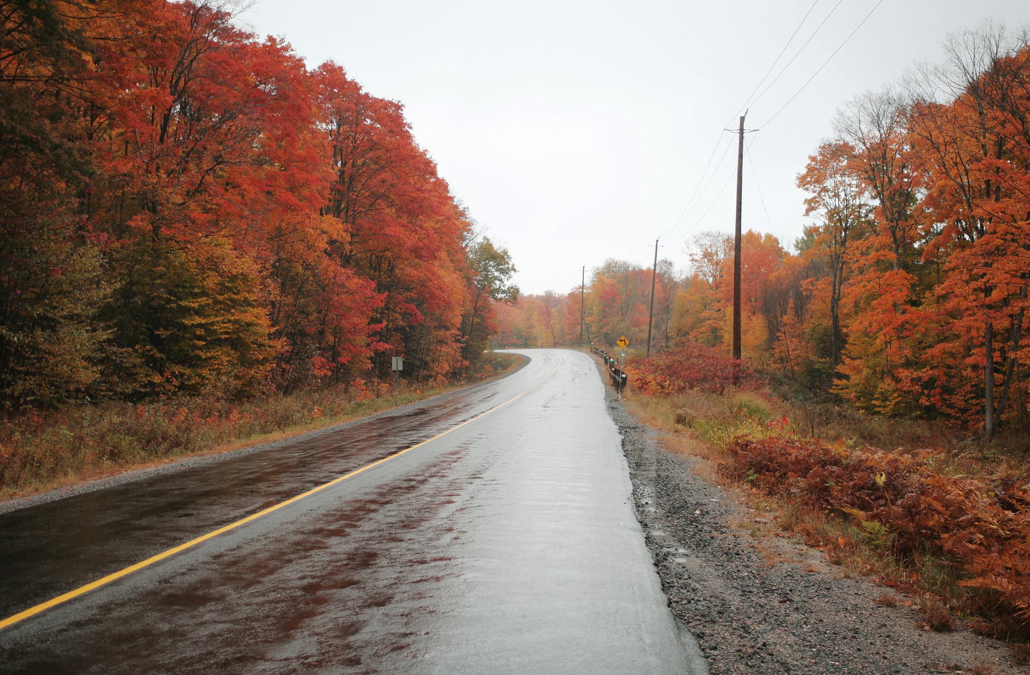 Canon EF 28-80mm f/3.5-5.6 USM IV sample photo. Road to red photography