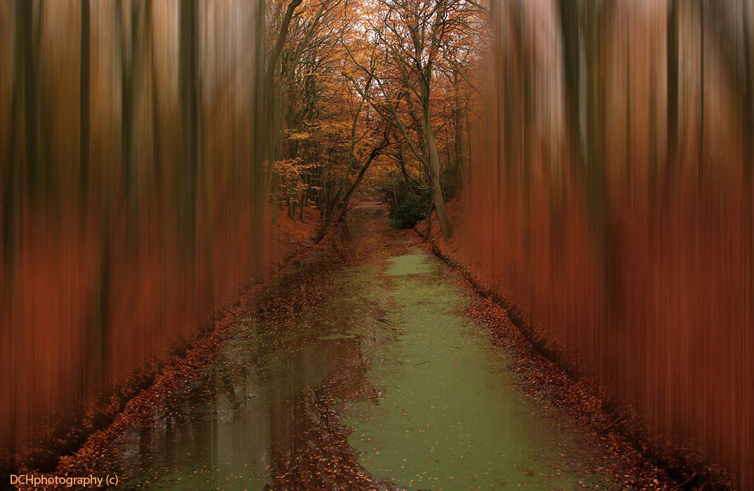 Sigma 18-200mm f/3.5-6.3 DC OS sample photo. Autumn colours photography