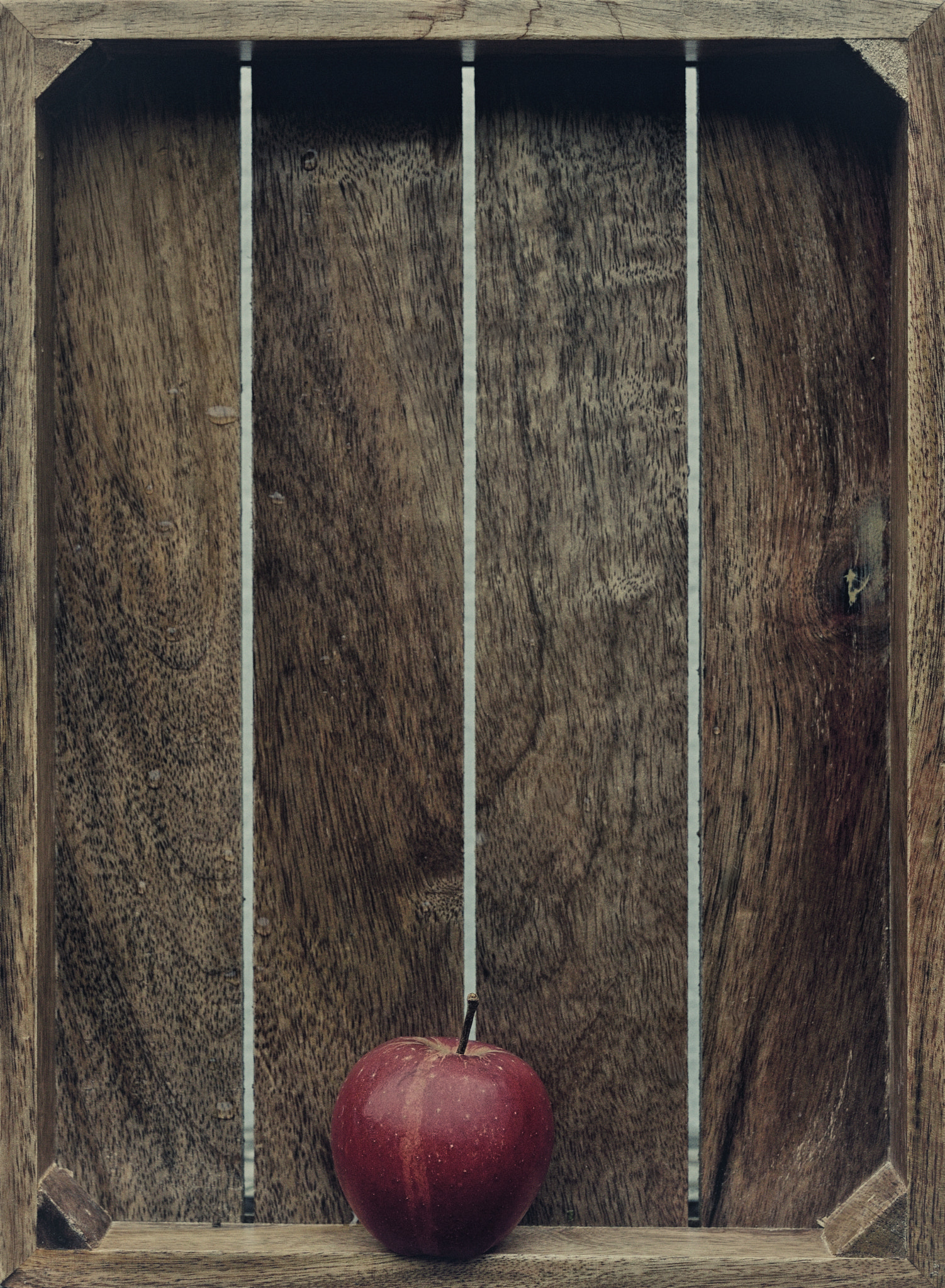 Nikon AF-S Micro-Nikkor 60mm F2.8G ED sample photo. One fine apple photography