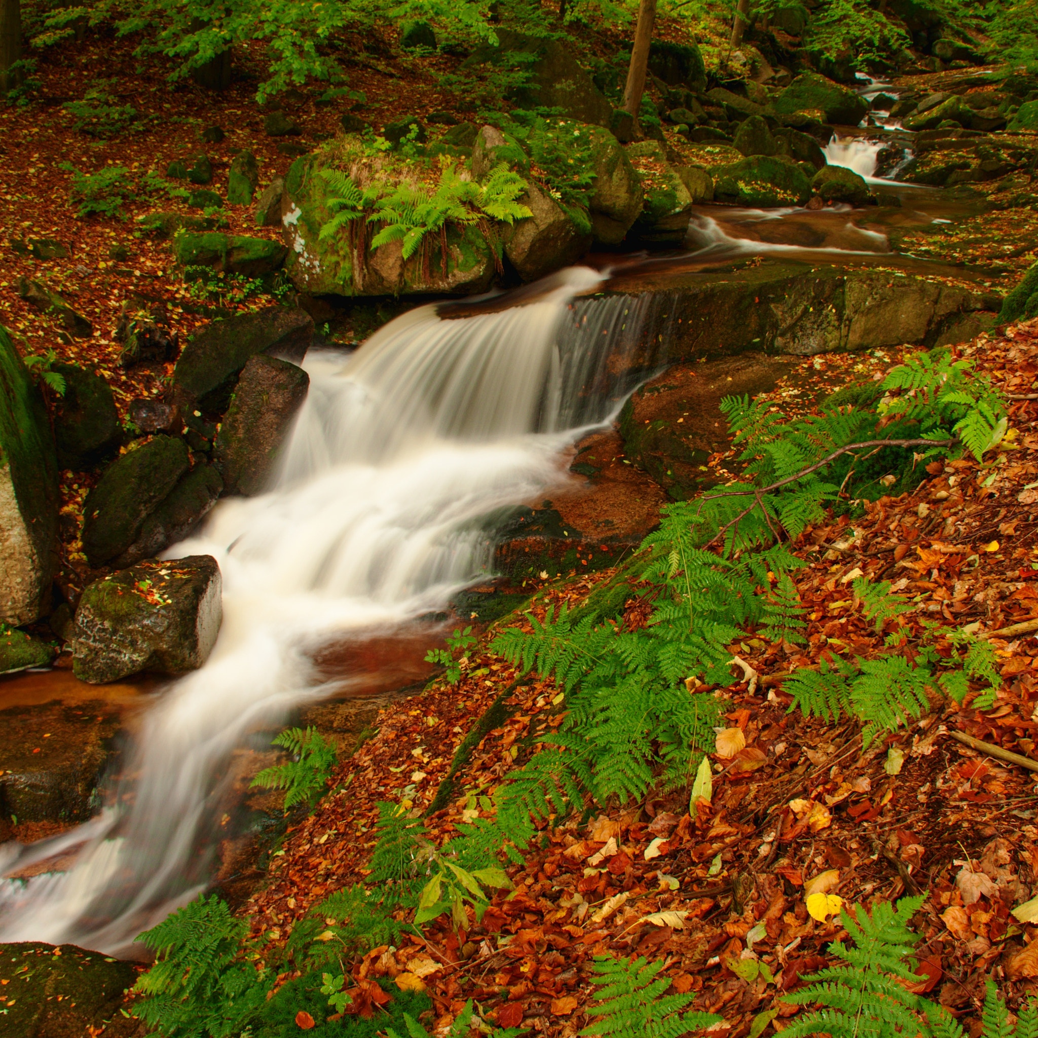 Nikon D5000 sample photo. Black neisse waterfalls i. photography