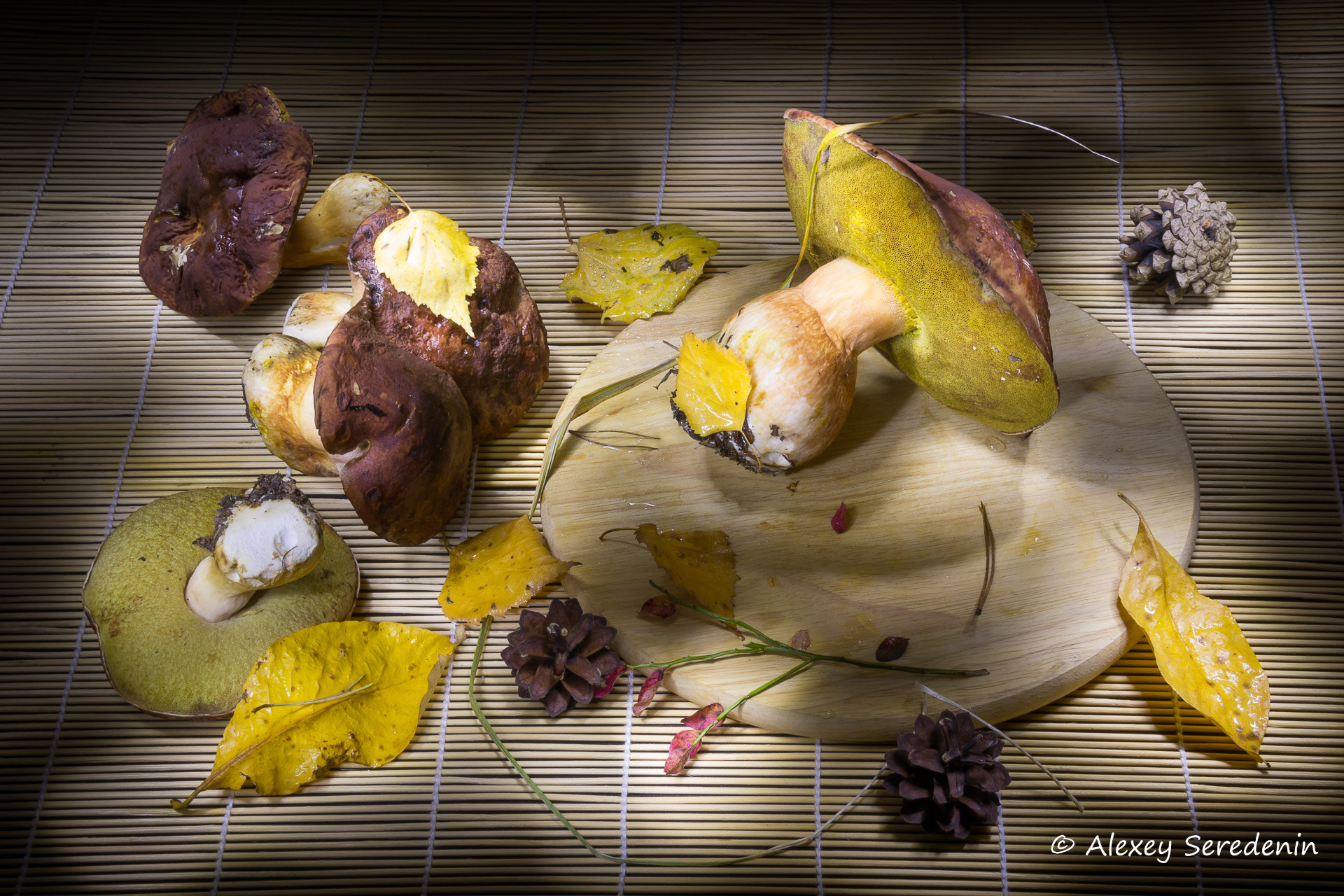 Canon EF-S 18-135mm F3.5-5.6 IS sample photo. Autumn harvest of the wood. photography