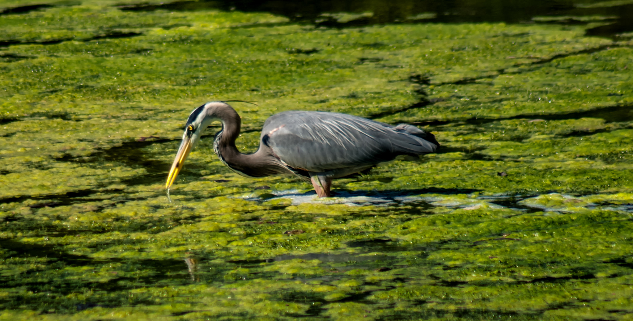 Minolta AF 100-300mm F4.5-5.6 xi sample photo. Meditation fishing photography