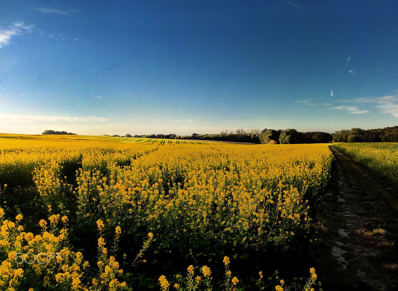 Panasonic DMC-TZ55 sample photo. Fa voeren farmland photography