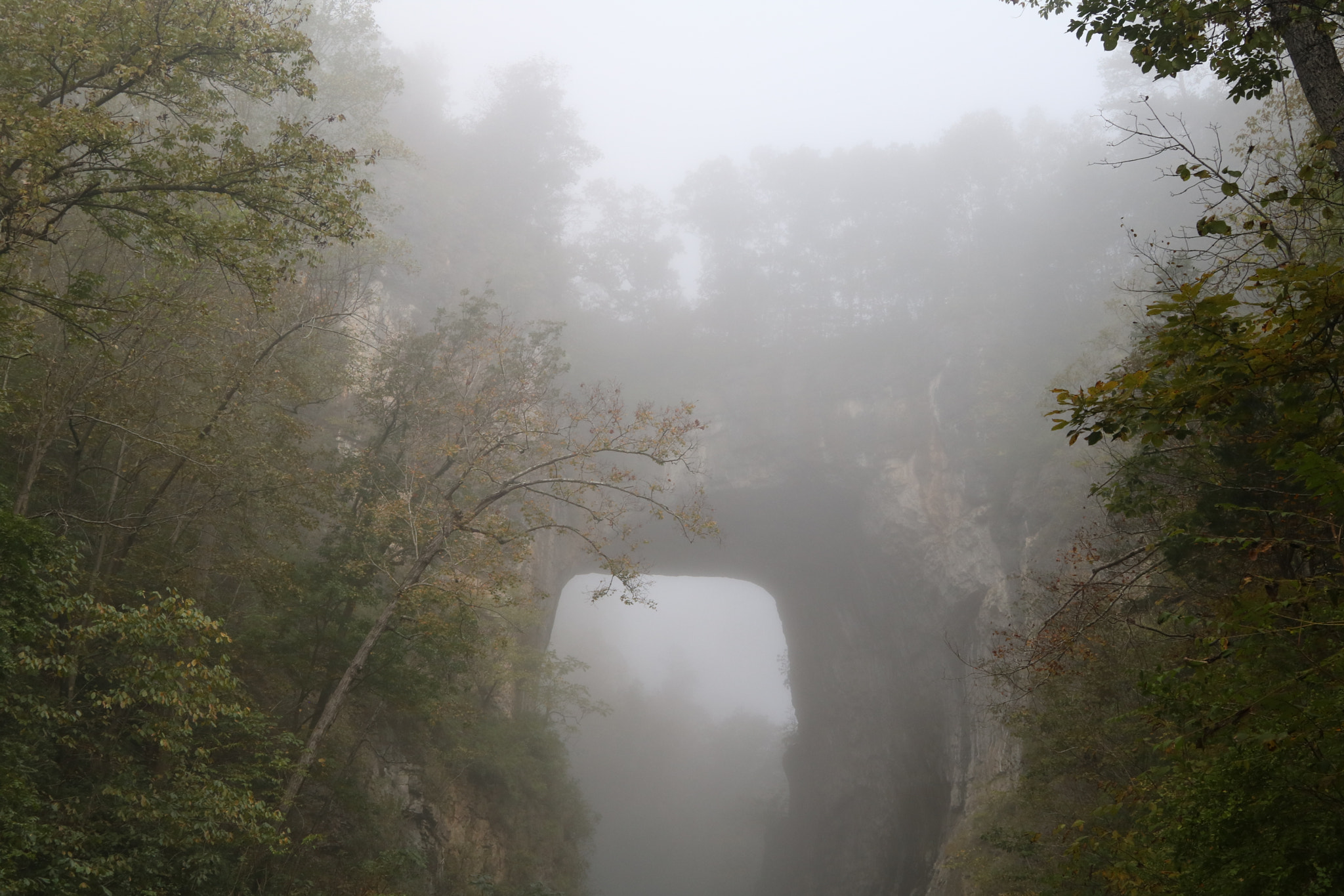 Canon EOS 760D (EOS Rebel T6s / EOS 8000D) sample photo. Top of the bridge photography