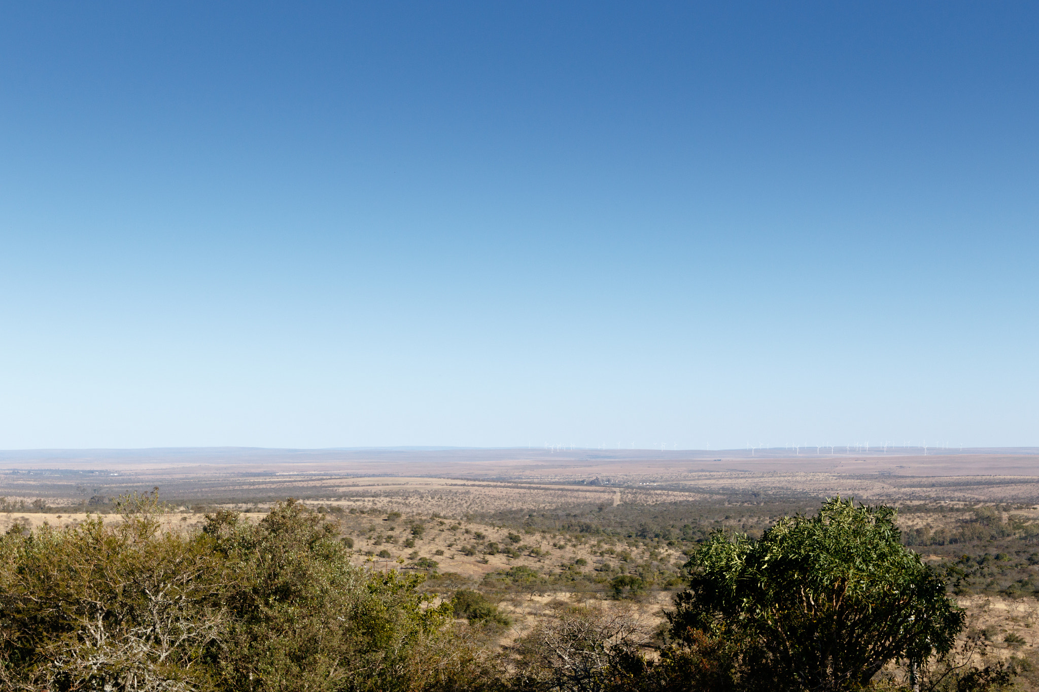 Canon EF 300mm f/2.8L sample photo. Blue skies overlooking flat landscape photography