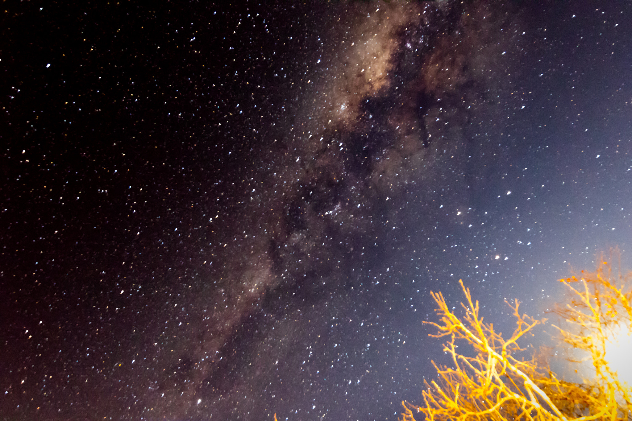 Canon EOS 7D Mark II + Canon EF 300mm f/2.8L sample photo. Bush pointing to the milky way galaxy photography