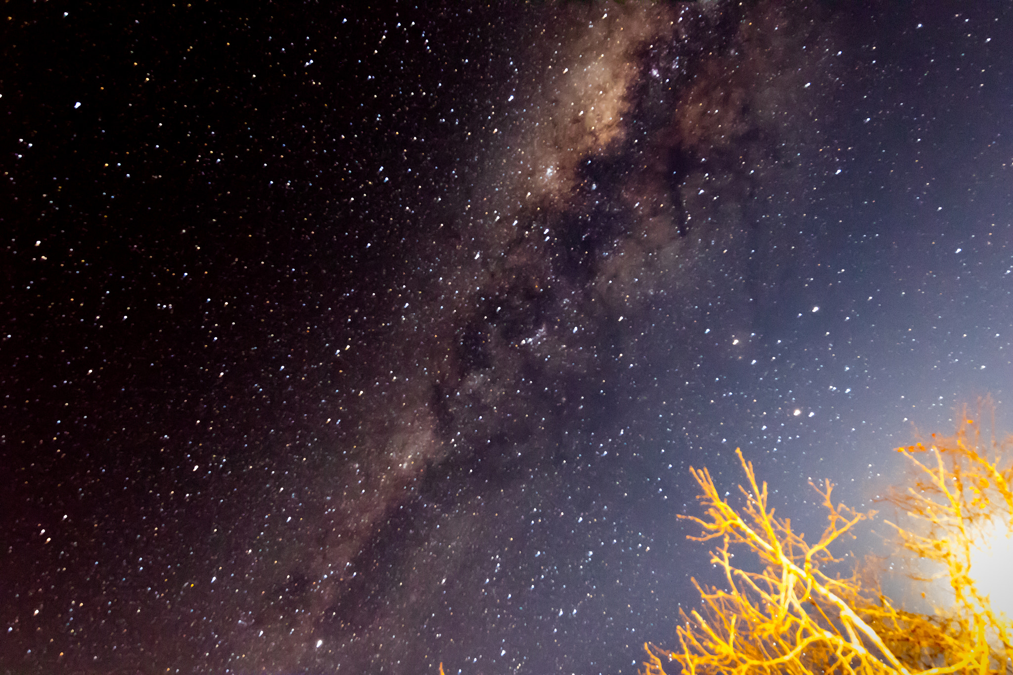 Canon EF 300mm f/2.8L sample photo. Bush pointing to the milky way galaxy photography