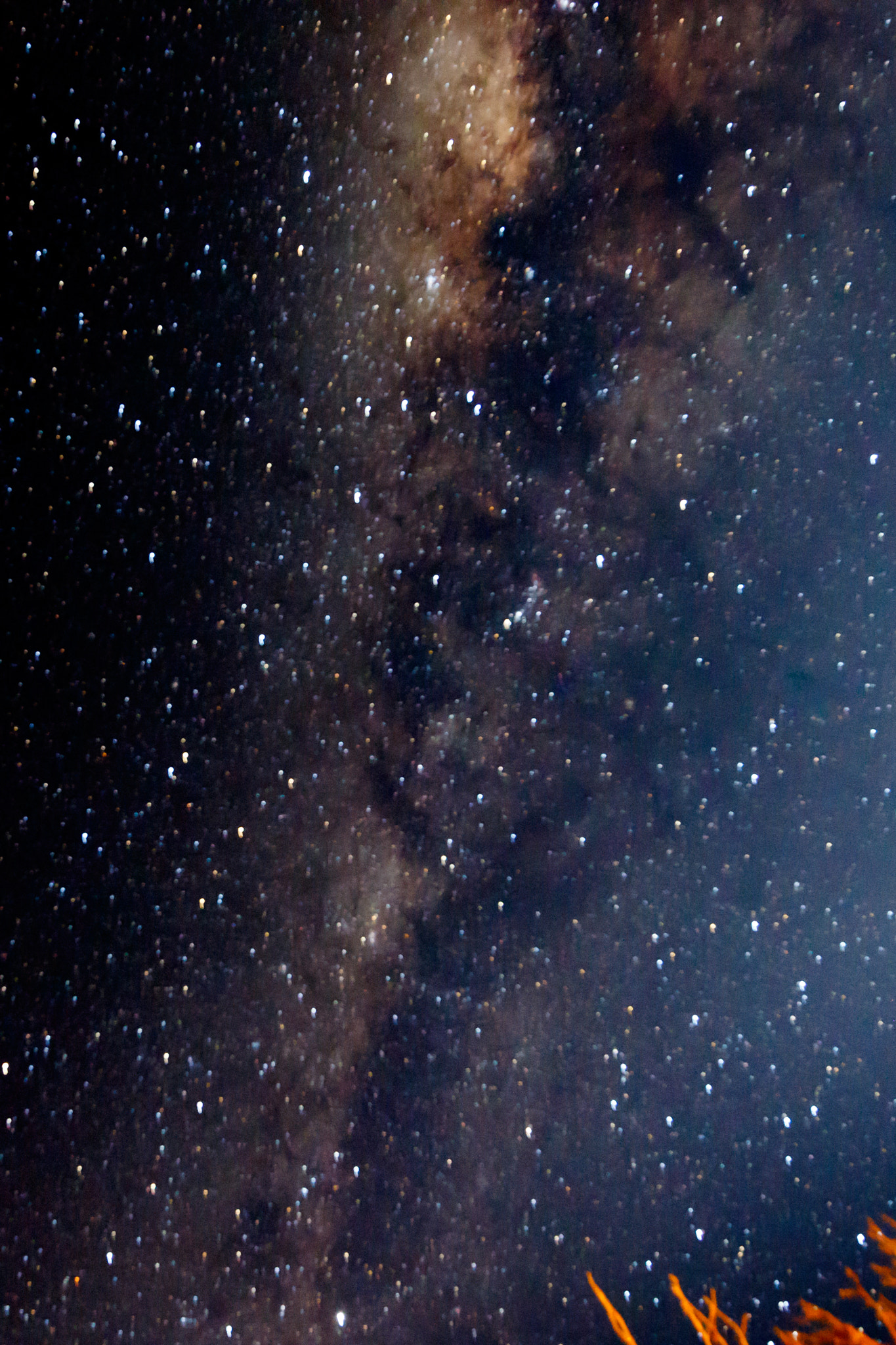Canon EF 300mm f/2.8L sample photo. Portrait - bush pointing to the milky way galaxy photography