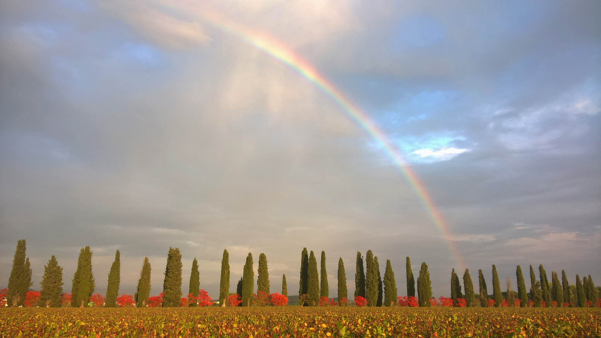 Microsoft Lumia 640 XL sample photo. Italian countryside photography