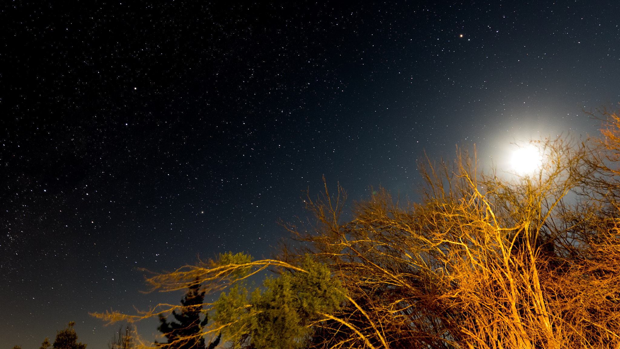 Canon EF 300mm f/2.8L sample photo. Moon just above the tree with stars in the background photography